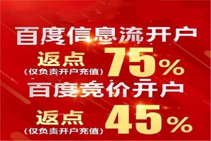 某知名企业SEM营销全案解析